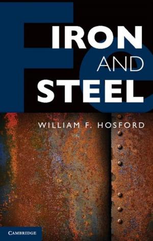 Cover of the book Iron and Steel by Thomas Bock, Thomas Linner
