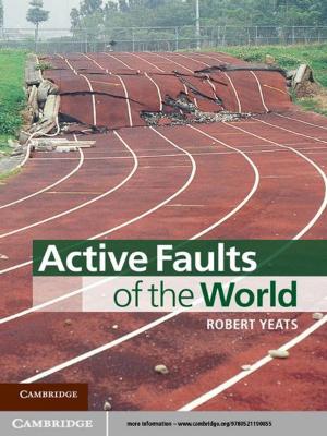 Cover of the book Active Faults of the World by Ting-Chung Poon, Jung-Ping Liu