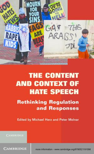 Cover of the book The Content and Context of Hate Speech by 