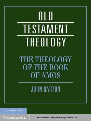 Cover of the book The Theology of the Book of Amos by Rebekah Clements