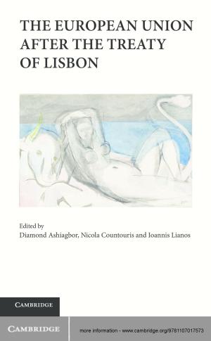 Cover of the book The European Union after the Treaty of Lisbon by Roger Trigg