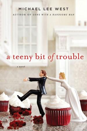 Cover of the book A Teeny Bit of Trouble by Kelly Carlin