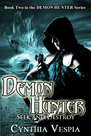 Cover of Demon Hunter: Seek and Destroy