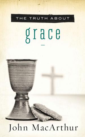 Cover of the book The Truth About Grace by Robert Liparulo