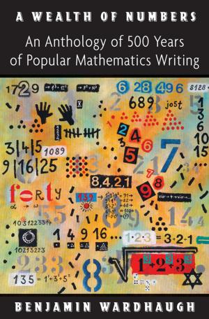 bigCover of the book A Wealth of Numbers by 