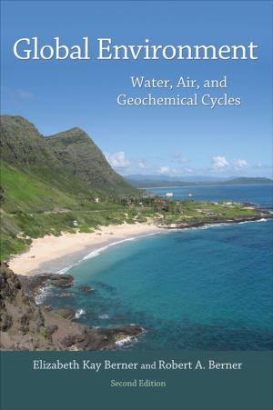 Book cover of Global Environment