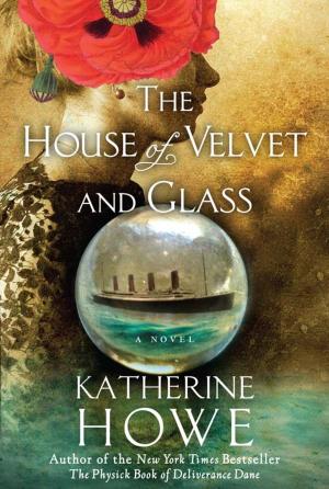 Cover of the book The House of Velvet and Glass by Nancy Taylor Rosenberg