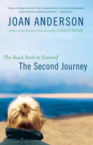 Book cover of The Second Journey