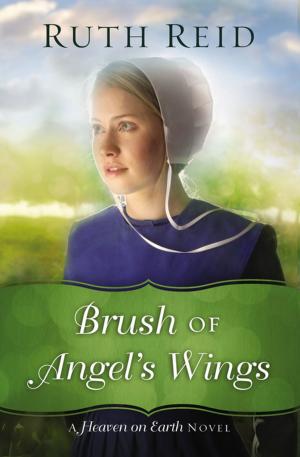 Cover of the book Brush of Angel's Wings by Sheila Walsh, Cindy Martinusen Coloma
