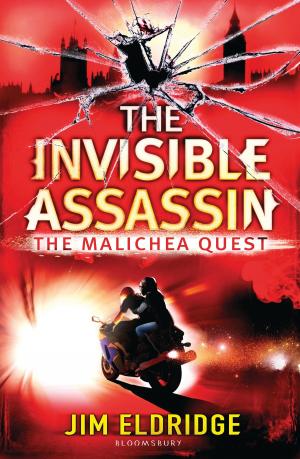 Cover of the book The Invisible Assassin by Leroy Thompson
