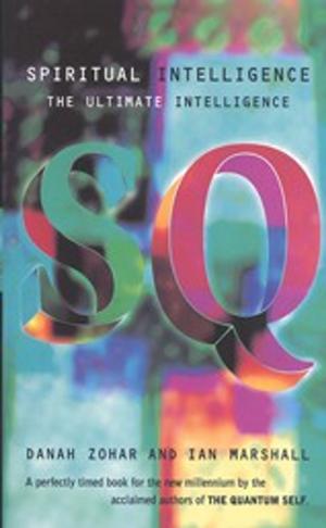 Cover of the book Spiritual Intelligence by Professor Louis Komjathy