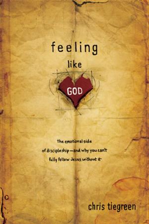Book cover of Feeling like God