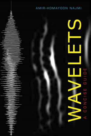 Cover of the book Wavelets by Eric L. Goldstein, Deborah R. Weiner