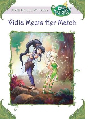 Book cover of Disney Fairies: Vidia Meets Her Match