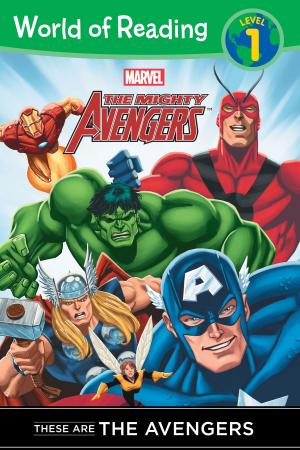 Cover of the book The Mighty Avengers: These are The Avengers (Level 1 Reader) by Ahmet Zappa, Shana Muldoon Zappa