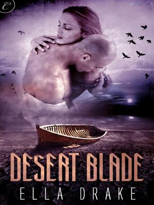 Cover of the book Desert Blade by Allison Parr