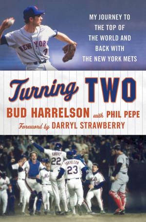 Book cover of Turning Two