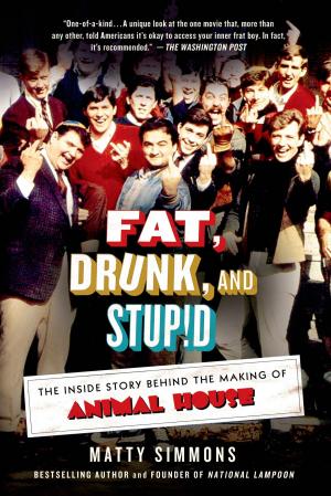 Cover of the book Fat, Drunk, and Stupid by Haywood Smith