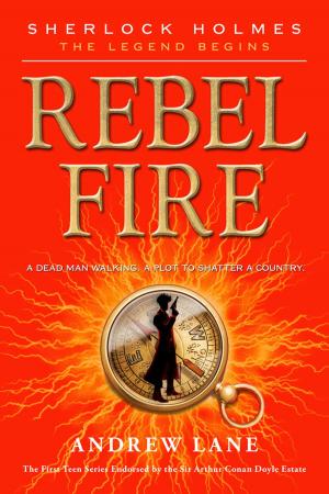 Cover of the book Rebel Fire by Charles Wright