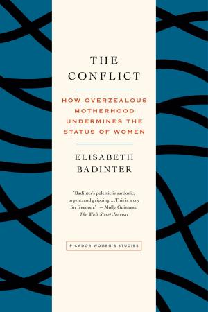 Cover of the book The Conflict by Catherine Temma Davidson