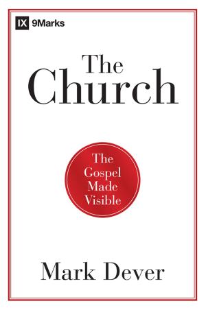 Cover of the book The Church by B&H Kids Editorial Staff