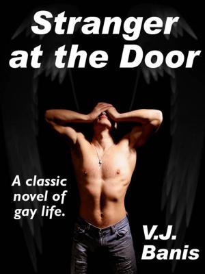 Cover of the book Stranger at the Door by Robert Hood