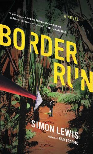 Cover of the book Border Run by Kitty Pilgrim