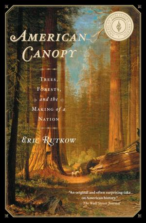 Cover of the book American Canopy by Linda Fairstein