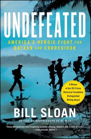 Cover of the book Undefeated by Daniel Robb