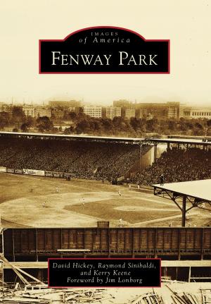 Cover of the book Fenway Park by Randall J. Soland