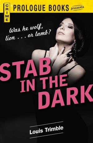 Cover of the book Stab in the Dark by Dave Canterbury