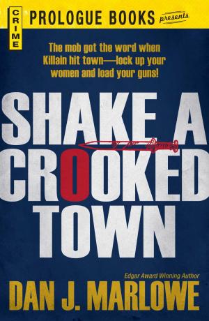 Cover of the book Shake a Crooked Town by Line Severinsen