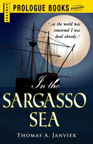 Cover of the book In the Sargasso Sea by Denise Bosler