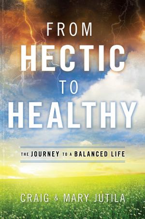 Cover of the book From Hectic to Healthy by Peter Larson, Heather Larson, David Arp, Claudia Arp