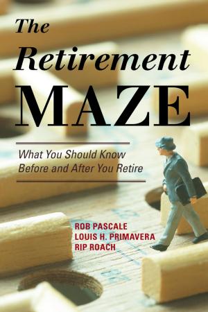 Book cover of The Retirement Maze
