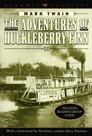 Cover of the book The Adventures of Huckleberry Finn by Helen Perelman