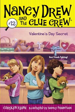 Cover of the book Valentine's Day Secret by Julia DeVillers, Jennifer Roy