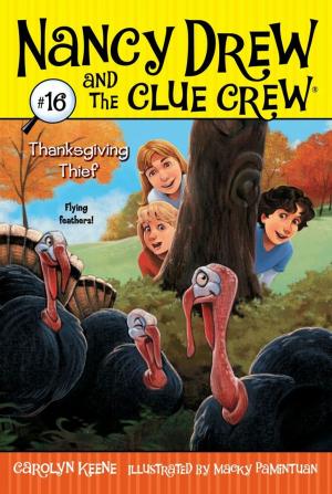 Cover of the book Thanksgiving Thief by Carolyn Keene