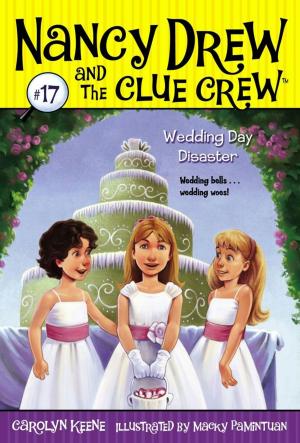 Cover of the book Wedding Day Disaster by Joan Holub, Suzanne Williams