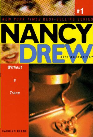 Cover of the book Without a Trace by Davy Ocean