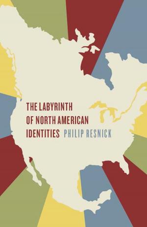 Cover of the book The Labyrinth of North American Identities by Madhur Jaffrey