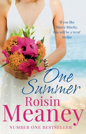 bigCover of the book One Summer by 