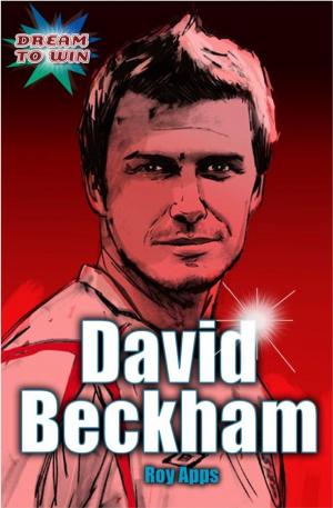 Cover of the book David Beckham by Hilary McKay