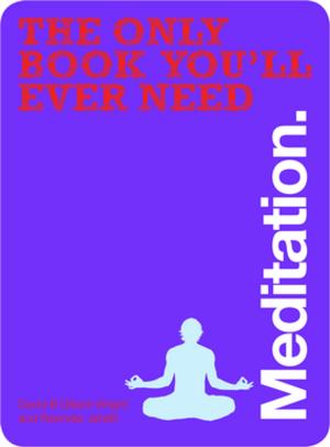 Cover of the book The Only Book You'll Ever Need - Meditation by David Mathias
