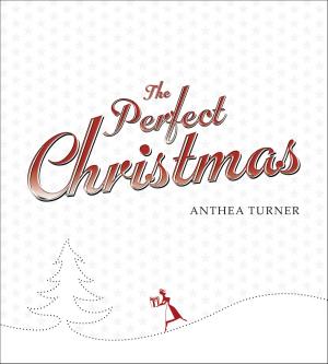 Cover of the book The Perfect Christmas by Katie Mowat