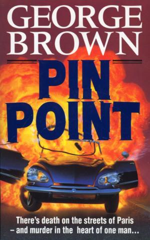 Cover of the book Pinpoint by Claude Jalbert