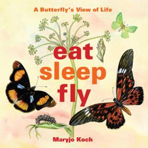 Cover of the book Eat, Sleep, Fly by Catharine Esther Beecher