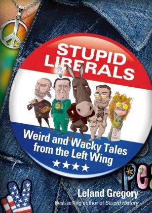 Book cover of Stupid Liberals