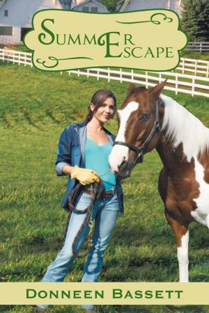 Cover of the book Summer Escape by Angela L. Walker Franklin Ph.D.