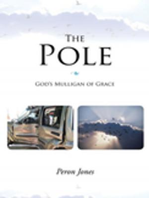 Cover of the book The Pole by Jim Powell